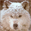 dmitrij0210